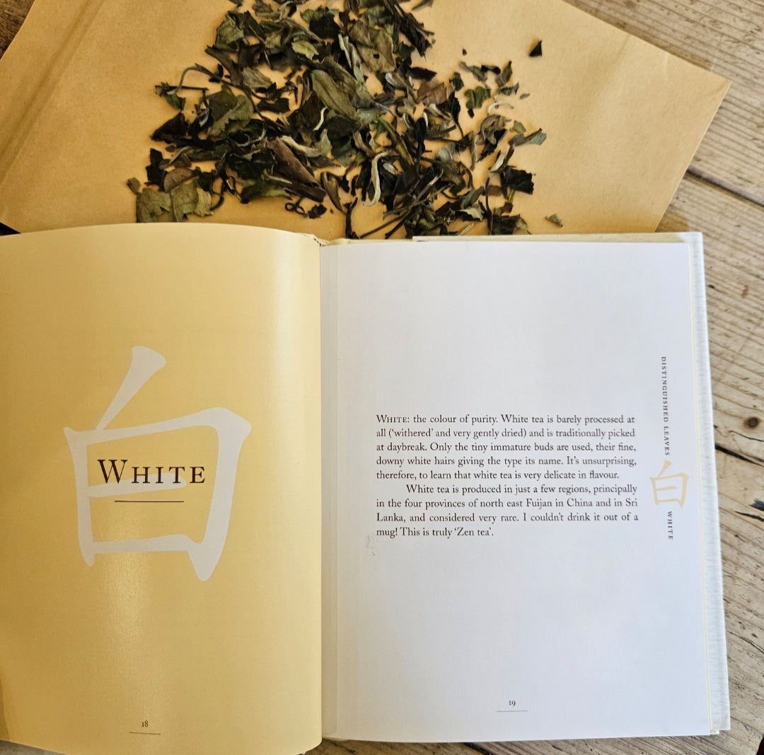 WHITE TEA