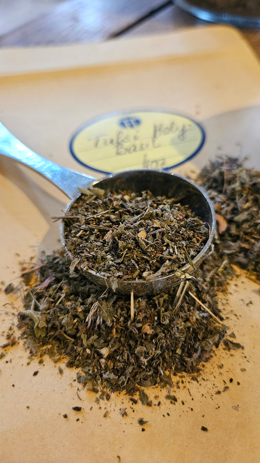 Tulsi Holy Basil