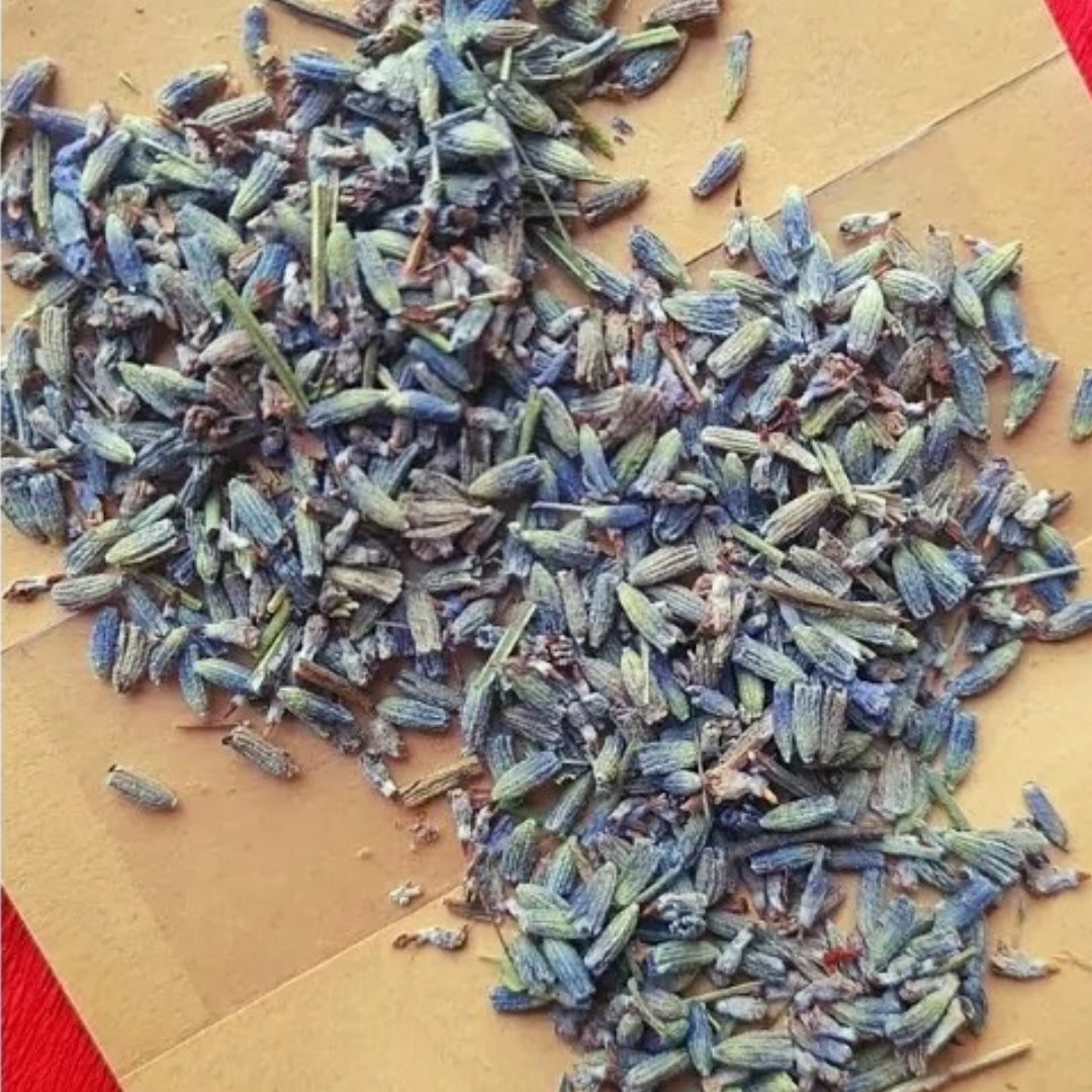 Lavender Herbal Flowers